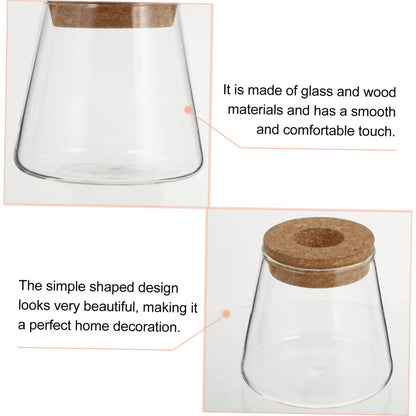 PRETYZOOM 2Pcs Glass Hydroponic Plant Vases for Desktop Home Decoration Clear Smooth Glass Terrarium for Floral Arrangement Office Plant Propagation Jar Unique Design