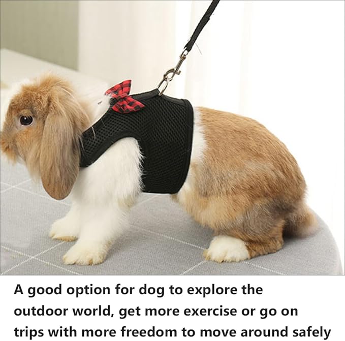 Beaupretty Pet Harness Vest Breathable Mesh Chest Back Strap, Size L 35-40cm, Adjustable No-Pull Small Animal Harness for Rabbits, Guinea Pigs, and Squirrels, Black