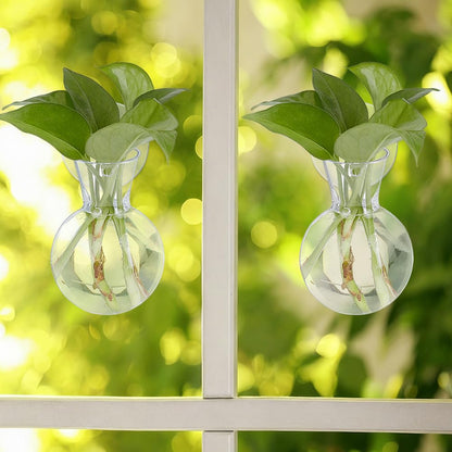 Doodlream 8 PCS Window Hanging Propagation Stations, Glass Water Planting Vases with Suction Cups, Window Wall Hanging Hydroponic Plant Terrariums for Pothos Ivy Herbs, Indoor Home Garden Decor