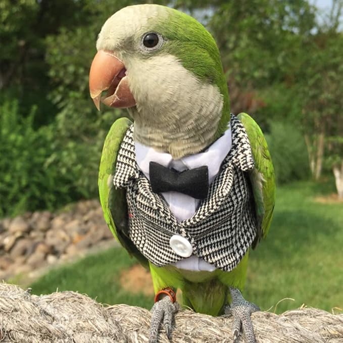 Bird Clothes Birds Flight Suit,Tuxedo Business Suit for Parrots African Greys Parakeet Cockatiel Sun Conure Christmas Party Birthday Cosplay Photo Prop Small Animals Apparel (2XL,Grid Suit)