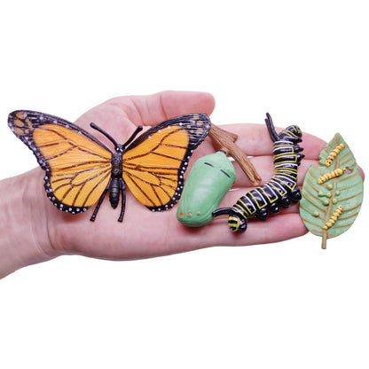 MIKNEKE Montessori Life Cycle Animal Figures with Flash Cards, Plastic Insects Monarch Butterfly Kit Caterpillar Toy for Kids, Realistic Animal Figurines (Butterfly)