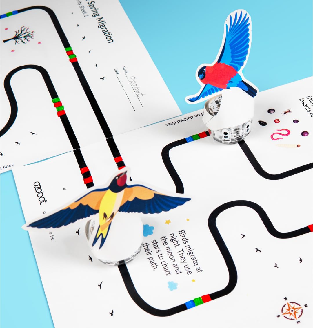 Ozobot Evo Classroom Kit (12 Bots): Interactive Coding Robots for Students, STEAM Learning Tools for Schools, Includes Charging Station, Storage Case, Markers, and Comprehensive Coding Curriculum