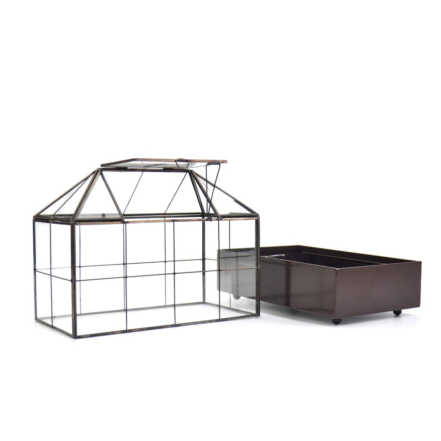 YIMORENCE V Large Tall Plant Terrarium Glass Greenhouse with Lid and Tray, Indoor Tabletop Orchid Succulent Cacti Kit 9.5'X9.8'X5.6'