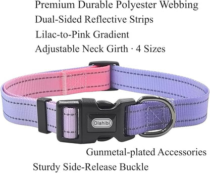 Dog Collar Leash Set, Gradient Color, with Safety Reflective Strips, 5 ft Matching Leash, Neoprene Padded Handle, Adjustable 4 Sizes for Small Medium Large Dogs.(M, Lilac Pink)