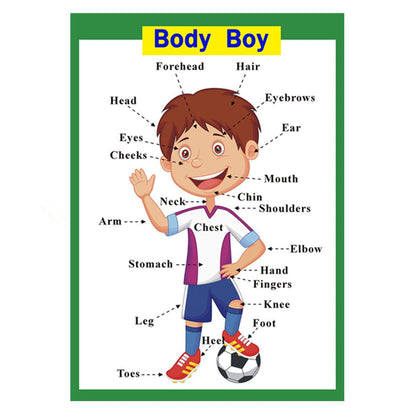 SANTSUN 5 Pcs Laminated Educational Preschool Posters for Toddlers| School classroom Posters | Class decorations for Kids Back to School Supplies, Preschool, Kindergarten, Elementary