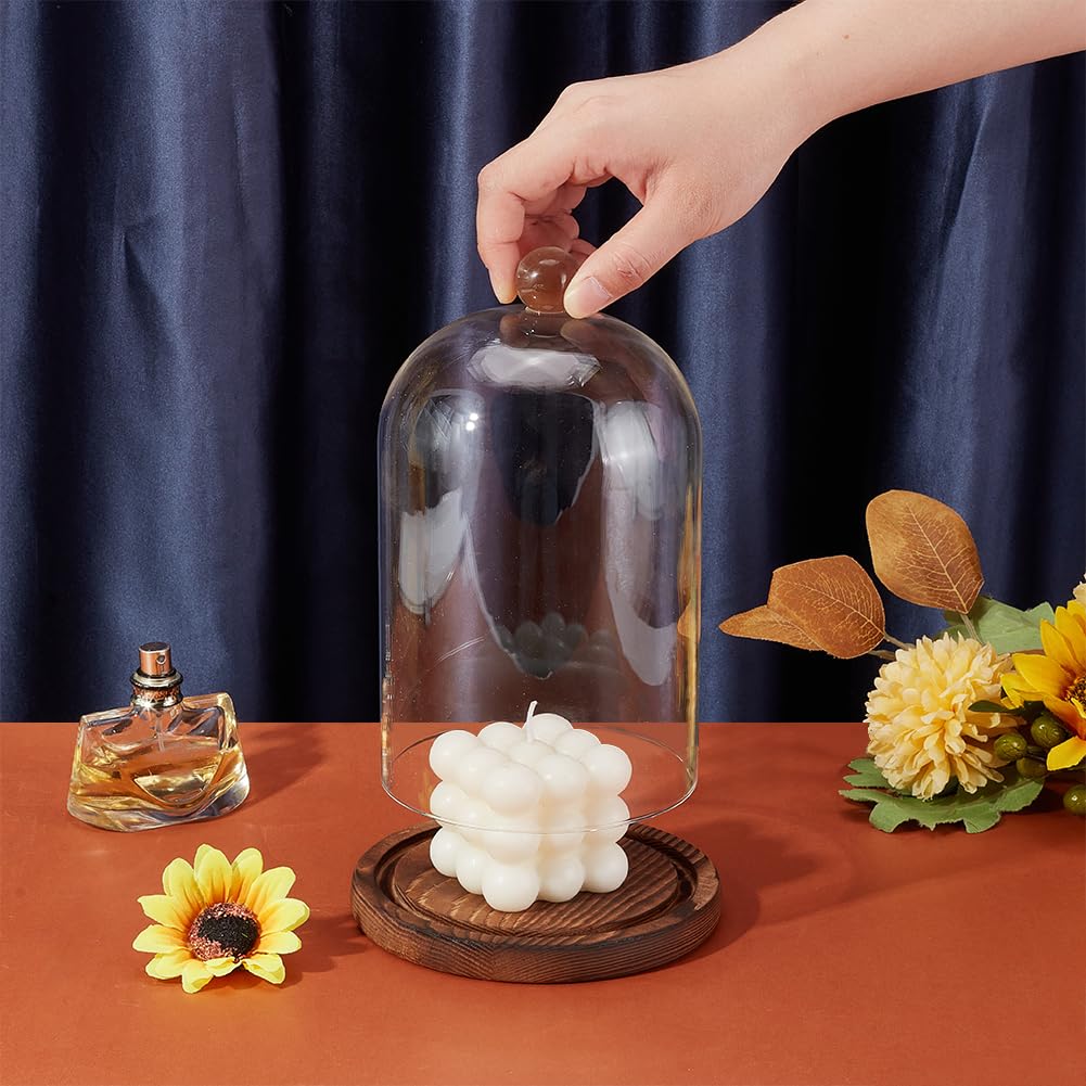 BENECREAT 7x4.5 Inch Glass Dome Cloche with Wooden Base, Rustic Bell Jar Display Clear Glass Bell Cloche for Plants, Fairy Lights or Table Decor