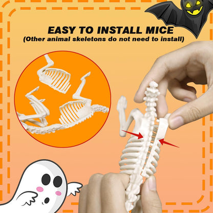LUKBERA 6pcs Halloween Animal Skeletons, Bat Frog Scorpion Spider Snake Rat Skeletons for Halloween Party Haunted House Graveyard Scene Decoration