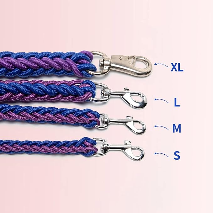 Love Dream Dog Collar and Leash Set, Heavy Duty Nylon Braided Rope Strong 4 FT Dog Leash and Martingale Training Collar for Small Medium Large Dogs Training and Walking (Red & Pink)