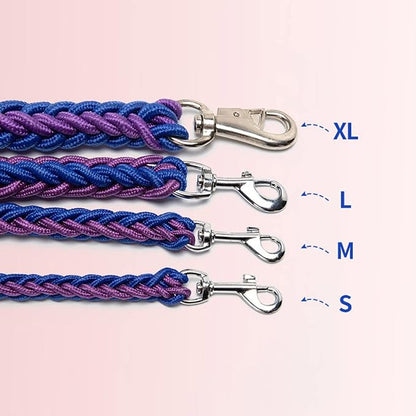 Love Dream Dog Collar and Leash Set, Heavy Duty Nylon Braided Rope Strong 4 FT Dog Leash and Martingale Training Collar for Small Medium Large Dogs Training and Walking (Red & Pink)