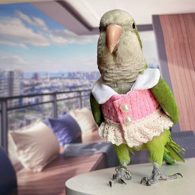 Bird Costume Bird Diaper Flight Suit Bird Pink Top Bird Clothes Cosplay Photo Prop for Parrots Lovebird Parakeet Cockatiel Small Animals Apparel (Cockatiel)