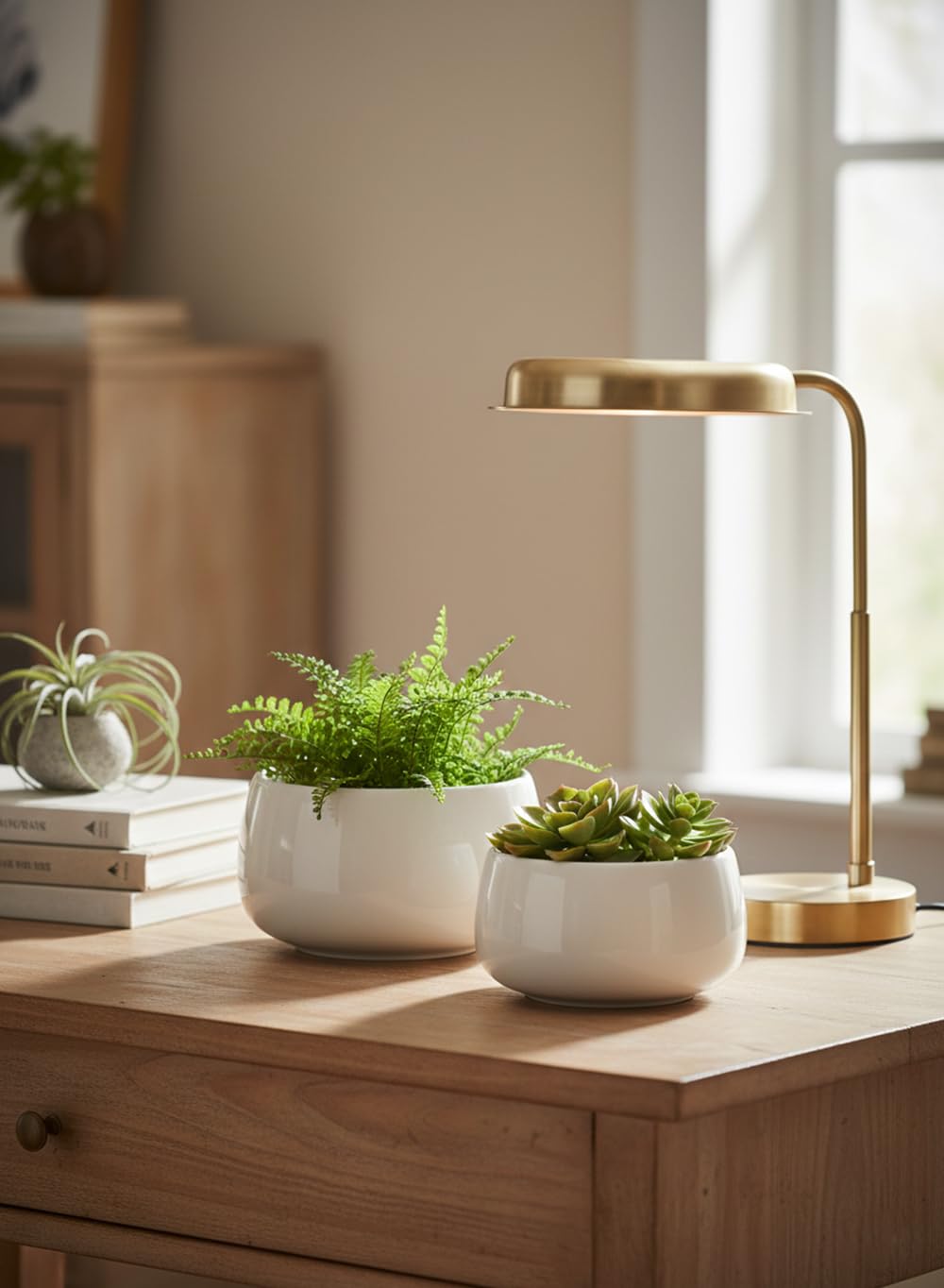 Serene Spaces Living Large Glossy White Ceramic Bowl, Modern Terrarium Succulent Planter, Floral Container, Trinket Holder, Fruit & Candy Bowl for Kitchen, Coffee Table, 8" Diameter & 4.5" Tall