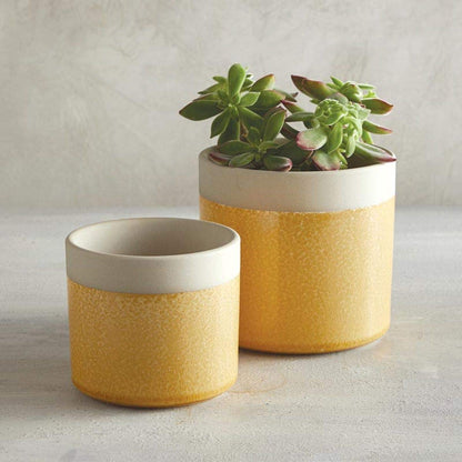 Creative Brands 47th & Main Modern Ceramic Planter/Pot, 4.25" Diameter, Yellow