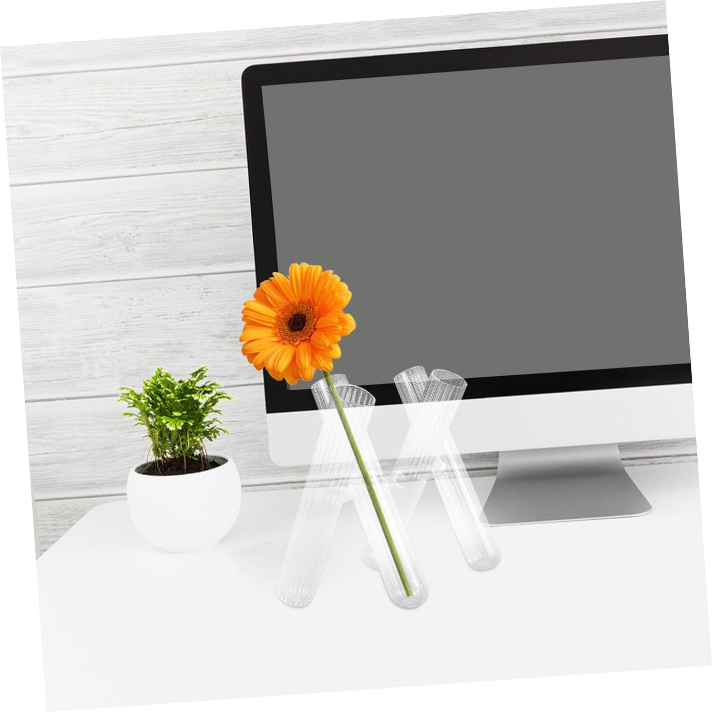 Toyvian Glass Test Tube Flower Holder Hydroponic for Plant Terrariums Desktop Decor and Window Display