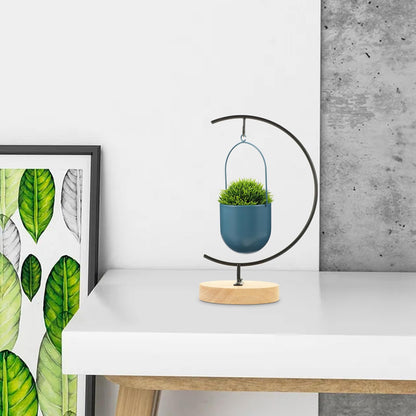 EXAOMBLE Micro Landscape Hanging Glass Globe Stand with Wooden Base, Iron Terrarium Display Holder for Air Plants and Small Plant Pots, Decorative Hanging Ornament Rack for Home Décor