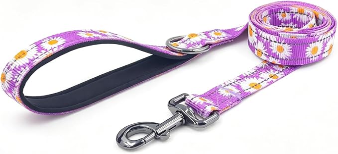 Dog Collar Leash Set, Floral Pattern, with Safety Reflective Strips, 5 ft Matching Leash, Neoprene Padded Handle, Adjustable 4 Sizes for Small Medium Large Dogs.(XS, Purple Daisy)