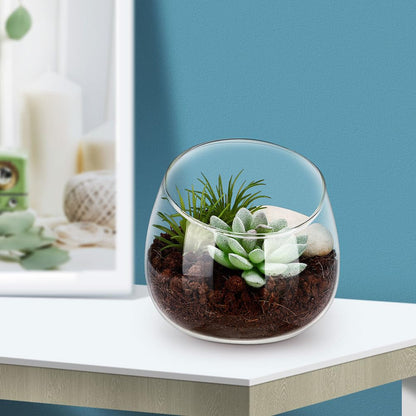 MAGICLULU Clear Glass Vase Cut Bubble Bowl Plant Terrarium Display Glass Tabletop Succulent Air Plant Planter Globe Home Office Decor 13.5cm