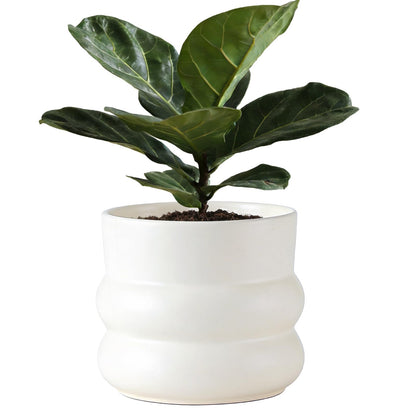 FUYHE 6 Inch Plant Pot,Ceramic Planter Pot with Drainage Hole,Indoor Planters for Herbs Plants,Ceramic Flower Pots for Indoor/Outdoor Plants,Home Office Garden Décor,Cream White