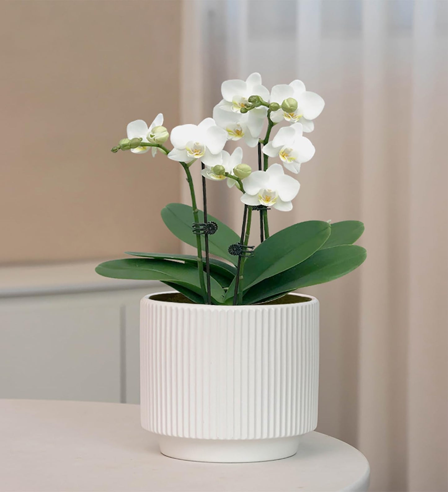 Puoyikt Ceramic 4.9+6.3 inch Planters, Modern Home and Office Flowerpot, Indoor and Outdoor Flowerpot with Drainage Hole (White)