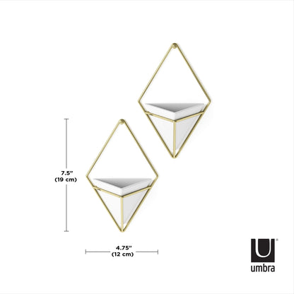 Umbra Trigg Hanging Planter Vase Wall Decor, Set of 2 Pots Containers for Succulents, Cactus, Faux Plants, and More, Small, White/Brass