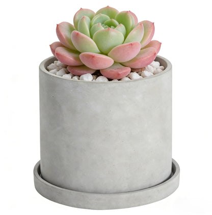 Ekirlin 6 Inch Indoor Plant Pot, Natural Cement Grey Garden Planters, Outdoor Concrete Flower Plant Pots with Drain Hole Saucer Tray, Modern Succulents Containers for Home Decor & Garden Plants
