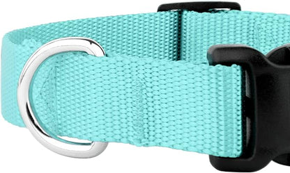 Country Brook Petz - Everyday Nylon Dog Collar and Leash - 10+ Cool Colors (1 Inch, Large, Light Cyan)