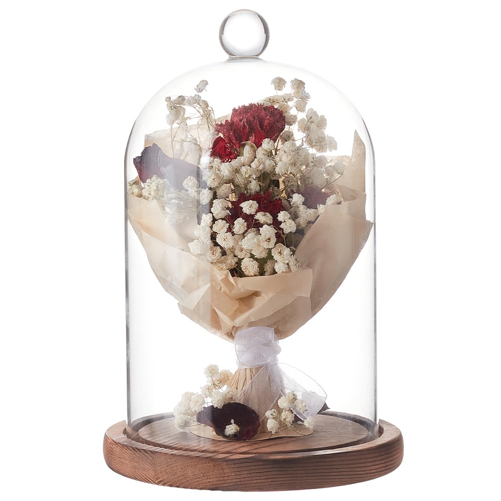 BENECREAT 7x4.5 Inch Glass Dome Cloche with Wooden Base, Rustic Bell Jar Display Clear Glass Bell Cloche for Plants, Fairy Lights or Table Decor