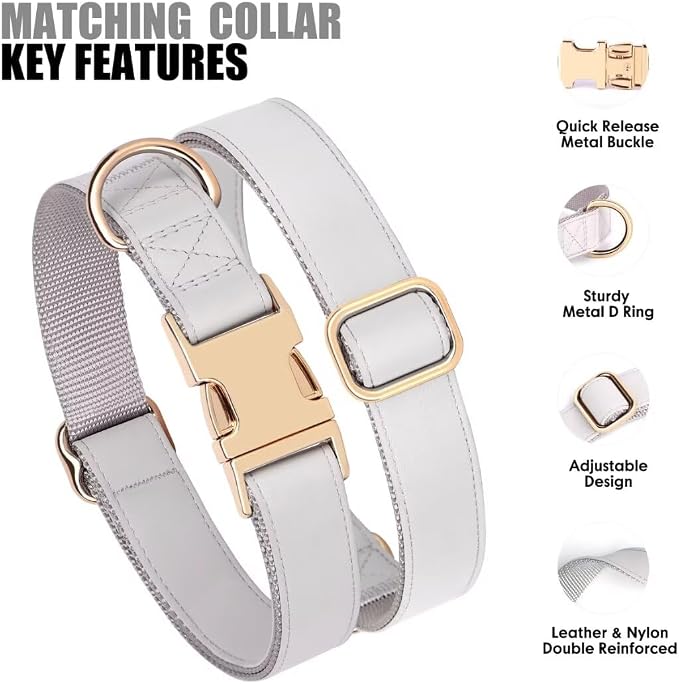 PET ARTIST Soft PU Leather Dog Collar and Leash Set, Bright & Stylish 5FT PU Leather Leash and Collar Set, Durable Pet Collars with Quick Release Metal Buckle for Medium Dogs,Gray,M(13-19")
