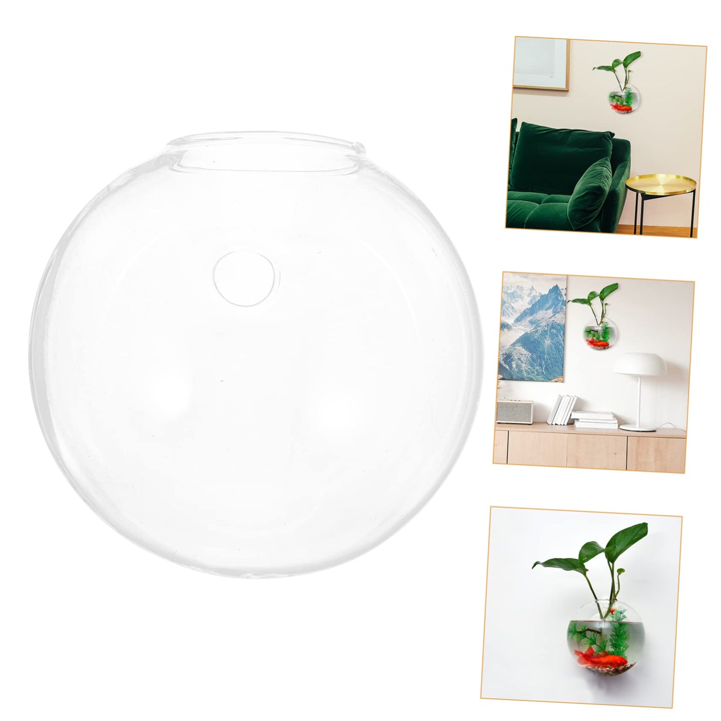 Levemolo 1set Glass Wall Plant Vase Decorative Hanging Vases for Wall-Mounted Plant Terrarium Bud