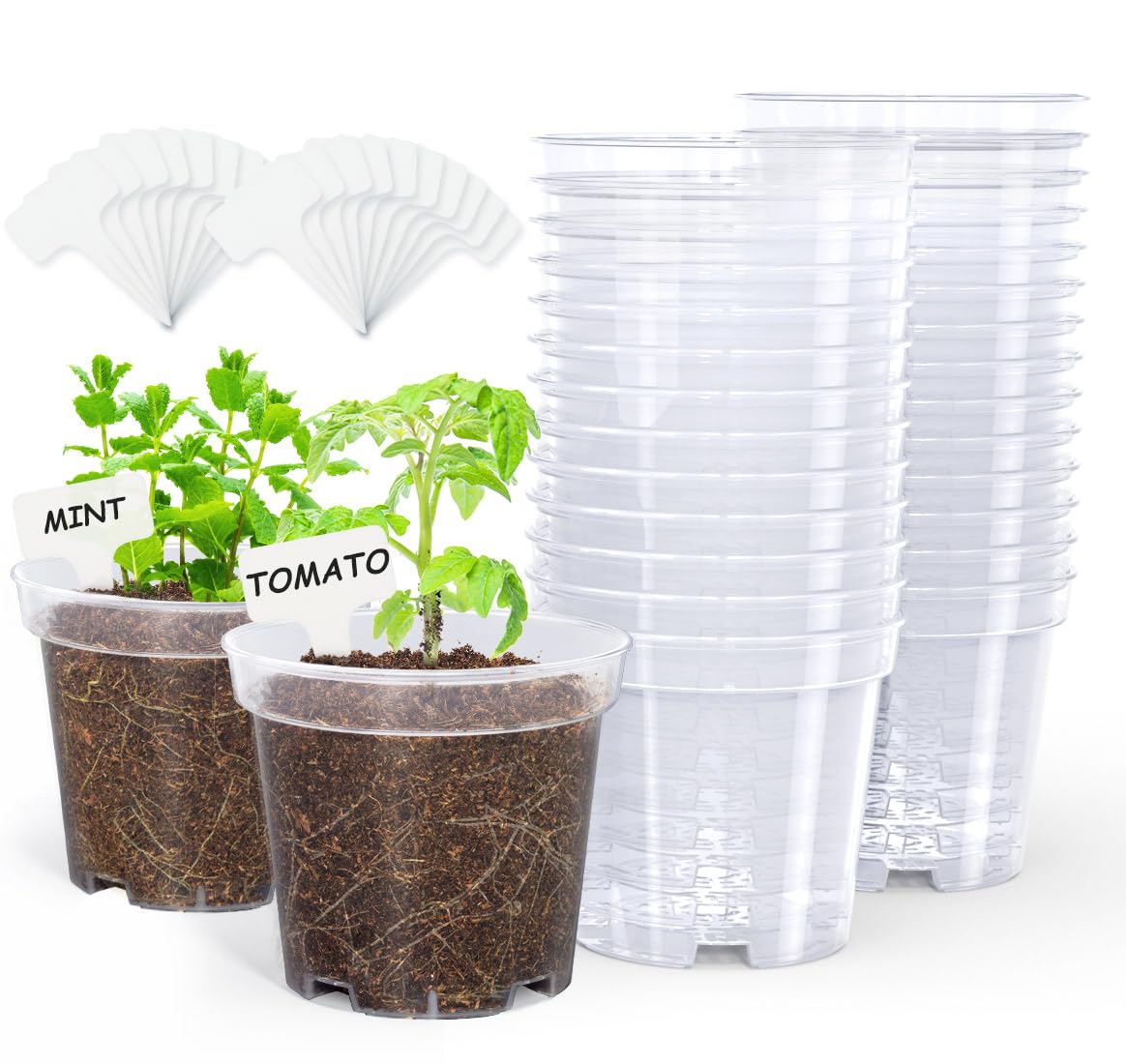 homenote Clear Nursery Pots for Plants,4 Inch Plant Pot for Planting Plastic Seedling with Drainage Holes Seed Starter Flower High Transparency with 20 Labels (30 Pack)