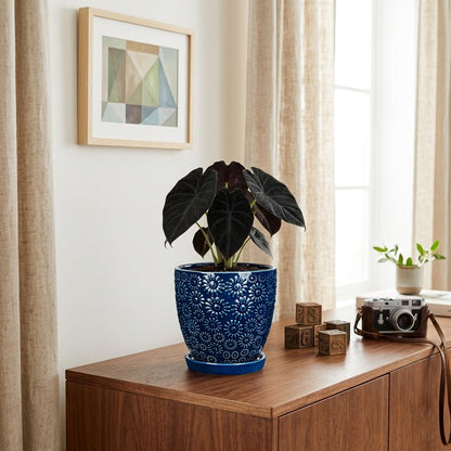 Hollyone 6 Inch Blue Ceramic Planter Flower Plant Pot with Drainage Hole and Saucer for Plants Embossed Indoor Outdoor Garden Embossed Ceramic Glazed Round Pot for Succulent Orchid Sunshine Pattern
