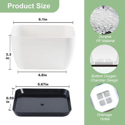 Succulent Pots 6 Inch Shallow Herb Planters with Drainage Hole - 8 Packs Cactus Planter for Home Office Garden Plants Pot Present - Plants Not Included (Off White)