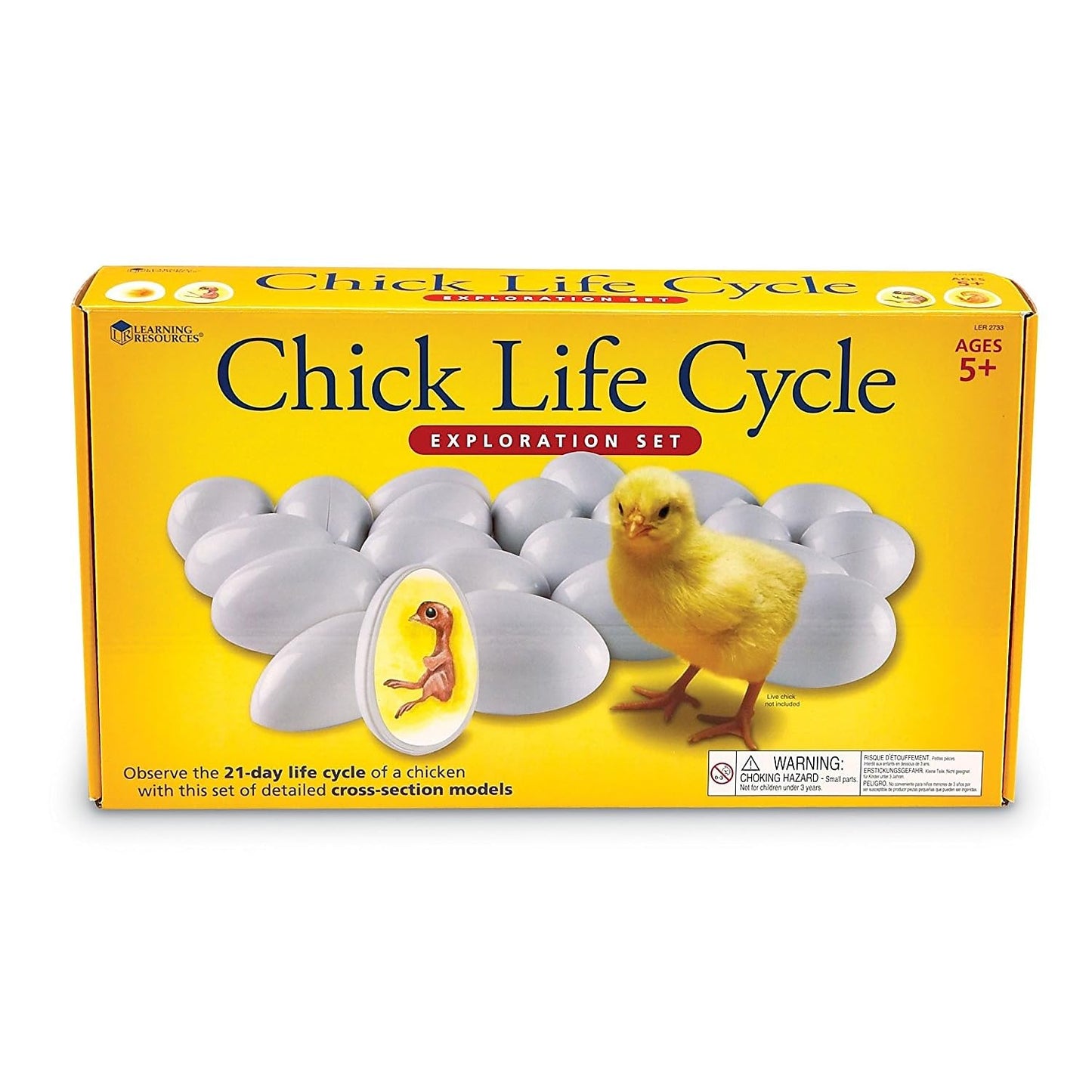 Learning Resources Chick Life Cycle Exploration Set - 21 Pieces, Ages 5+ Science Exploration Toys for Kids, Kindergartner Activities, Chicken Toys