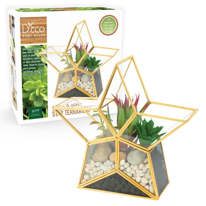Gold Star Glass Centerpiece Display (3x8x8) - Tabletop Planter Terrarium - Spring Home & Wedding Decor - Fill with Succulents, Cacti, Air Plants, Moss, Flowers for Plant Lovers