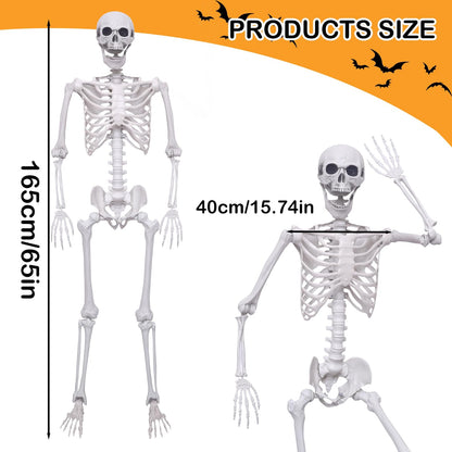 Hibsotco 2Pack 5.4Ft Life Size Skeletons Posable Skeletons Full Size Plastic Human Skeleton with Movable Joint for Halloween Outdoor Indoor Decorations