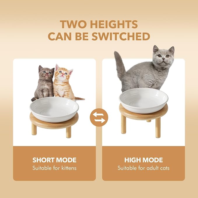 Havniva Elevated Cat Bowls Raised Ceramic Cat Bowl, 5.7” Wide Opening Cat Food Bowl Whisker Friendly Cat Dish Anti-Slip with Bamboo Stand, Shallow Pet Food & Water Bowl for Indoor Cats