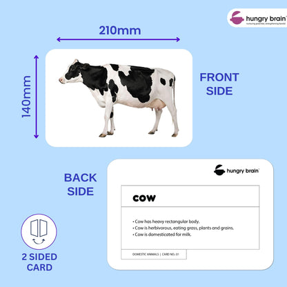 Hungry Brain Domestic Animals Flash Cards for Toddlers Ages 1-6 | Montessori Educational Learning Cards for Babies & Kids | Farm Animal Vocabulary, Preschool Learning & Homeschool