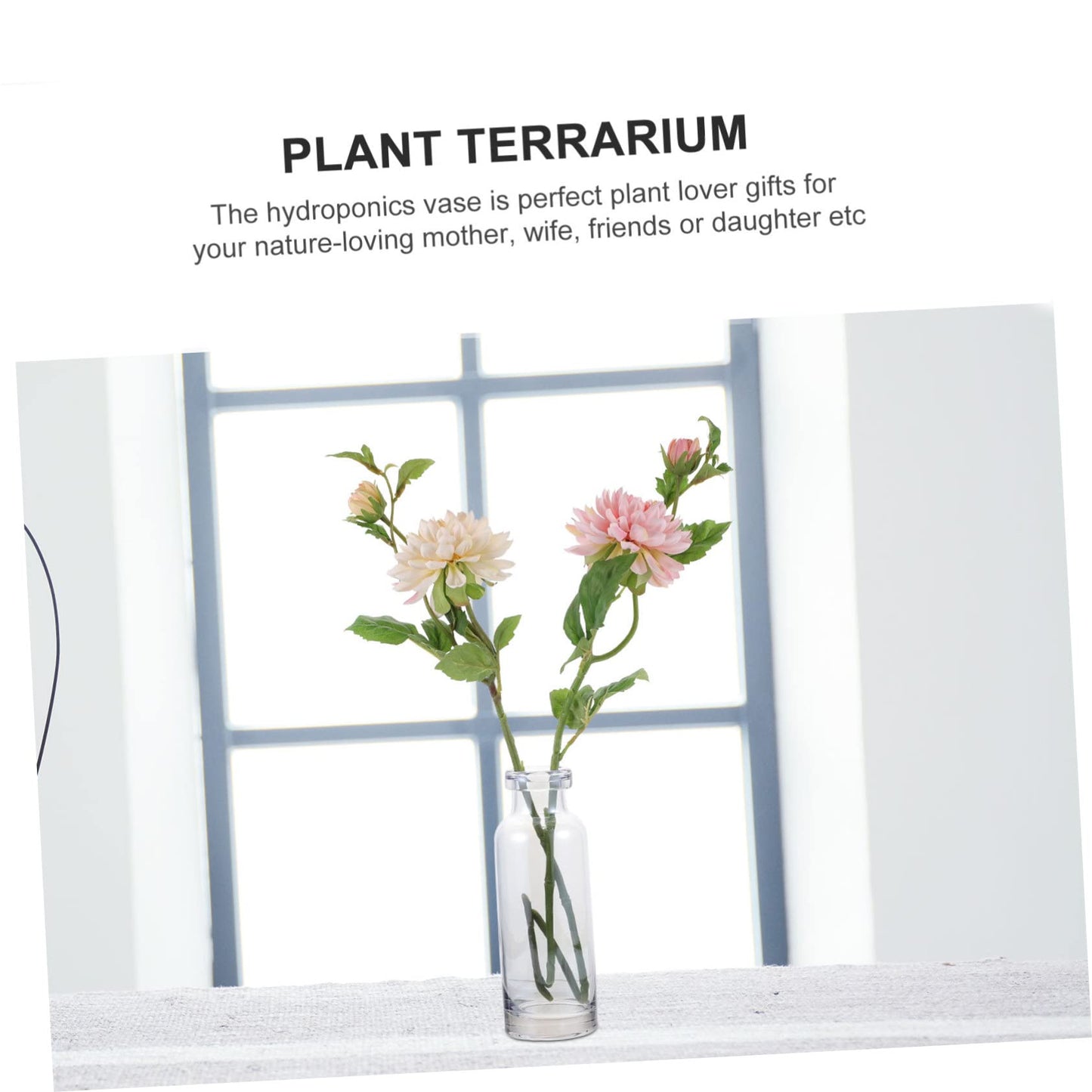 Cabilock Desktop Hydroponics Glass Planter Vase Stylish Terrarium for Home Decor Simple Design Small Bulb Container for Plant Lovers