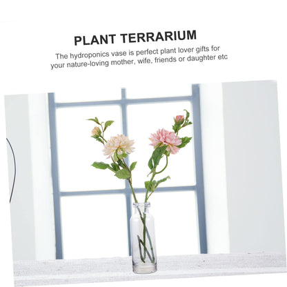 Cabilock Desktop Hydroponics Glass Planter Vase Stylish Terrarium for Home Decor Simple Design Small Bulb Container for Plant Lovers