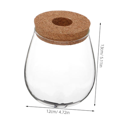 ifundom Creative Hydroponic Glass Vase for Plants Transparent Desktop Propagation Planter Elegant Terrarium for Indoor Greenery Low Maintenance Water Propagation Station for Spaces