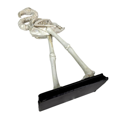 Fancy That Flamingo Skeleton Statue 12 Inch Resin Tabletop Sculpture with Distressed Bone White Finish and Black Base, Eclectic Coastal Bird Decor Accent for Shelf Desk Mantel