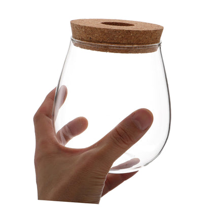 POPETPOP Modern Hydroponic Glass Vase Compact Desktop Planter for Terrariums Flower Holder for Aesthetic Home Decoration for Observing Plant Growth