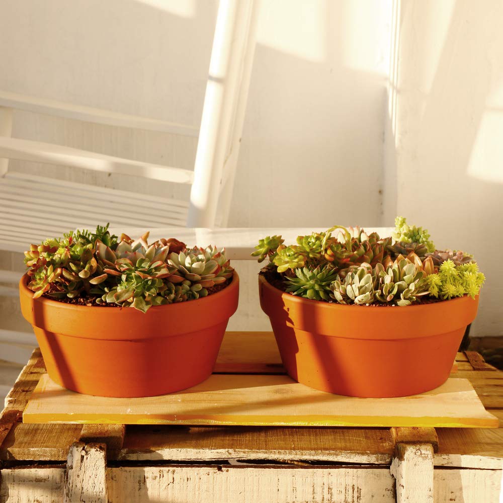 Yishang Large Terracotta Pots for Succulent - 10 Inch Cactus Plant Containers Indoor Garden Bonsai Pots with Drainage Hole - Set of 2, Unglazed Clay Ceramic Pottery Planter