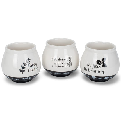 Napco Assorted Witty Herb Cache 3.5 Inch White and Black Ceramic Planters (Set of 3)