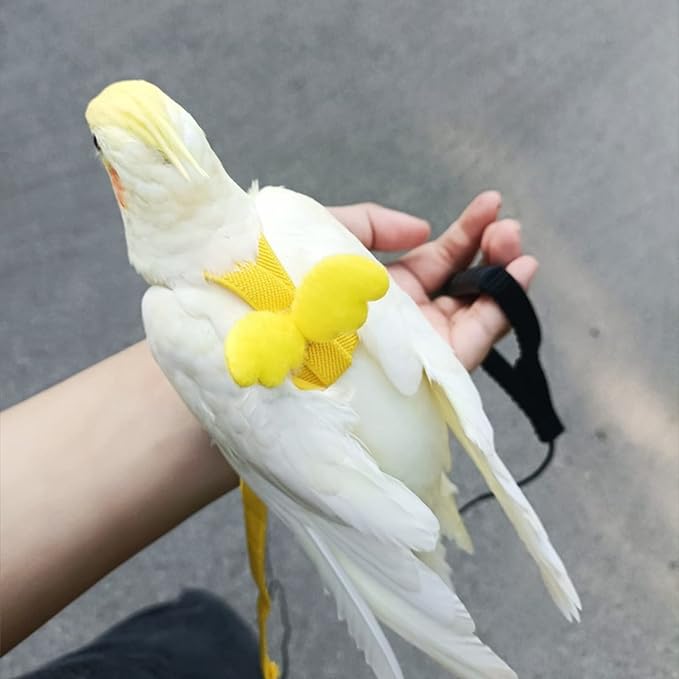 Pet Parrot Bird Harness Leash Adjustable Bird Flying Harness Traction Rope with Cute for Parrots Budgerigar Lovebird Cockatiel Mynah Outdoor Training Toy (Mynah,Yellow)