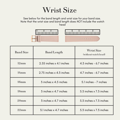 1302 Leather Watch Bands for Women and Men, Quick Release Watch Band, 12mm,14mm,16mm,18mm,20mm and 22mm Easy Interchangeable Strap (Silver Shimmer/Silver Buckle, 18mm)