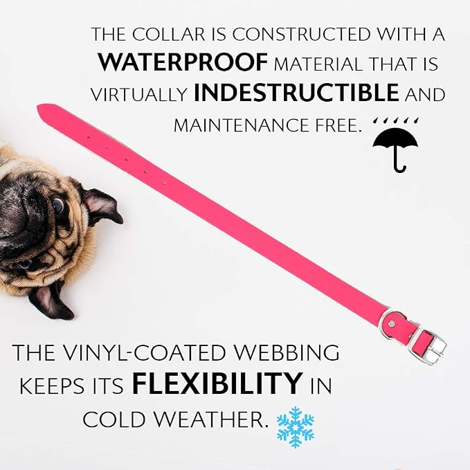 Regal Dog Products Large Pink Waterproof Biothane Dog Collar and Leash Set | Heavy Duty Double Buckle & D Ring - 5'ft Leash | Adjustable, Chew Resistant Collar for Dogs