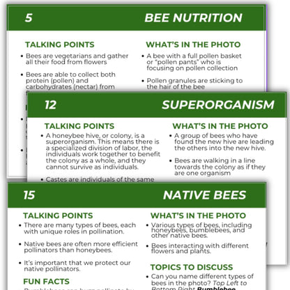 Educational Beekeeping Cards – 12x18 Oversized Beekeeping Flashcards for Teaching Bees and Beekeeping - Classroom and Workshop Learning Tool (Complete Set - Heavy Card Stock)