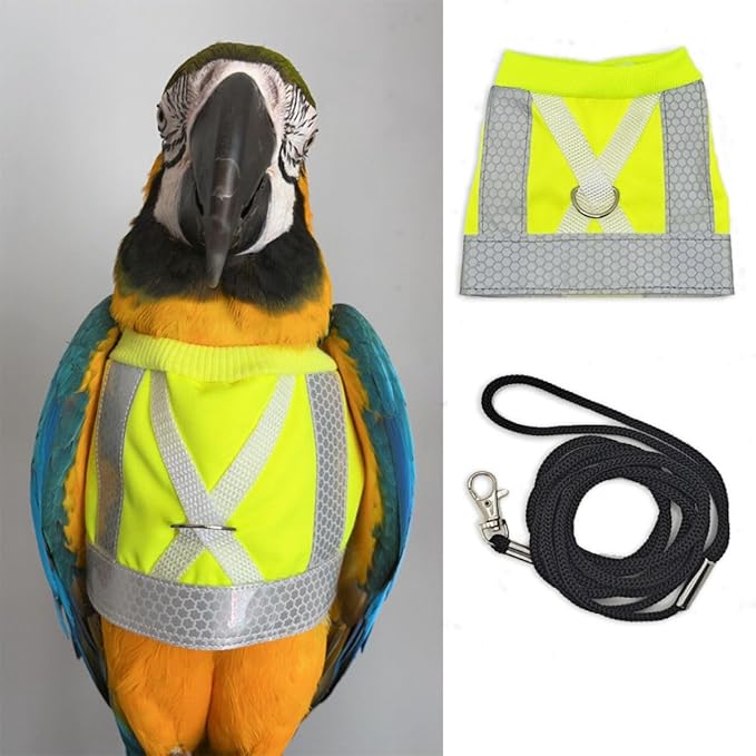 Pet Parrot Bird Harness and Leash, Adjustable Training Design Anti-Bite, Bird Nylon Rope for Parrots, Waterproof and Reflective, Suitable for Macaw Cockatoo Cockatiel Lovebird Conure African Grey (L)