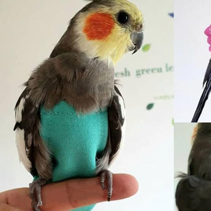 Bird Diaper Harness Flight Suit Clothes, Parrot Flight Suit with Leash for Parrot, Bird Flying Clothes for Outdoor Activities Training (with Leash,L)