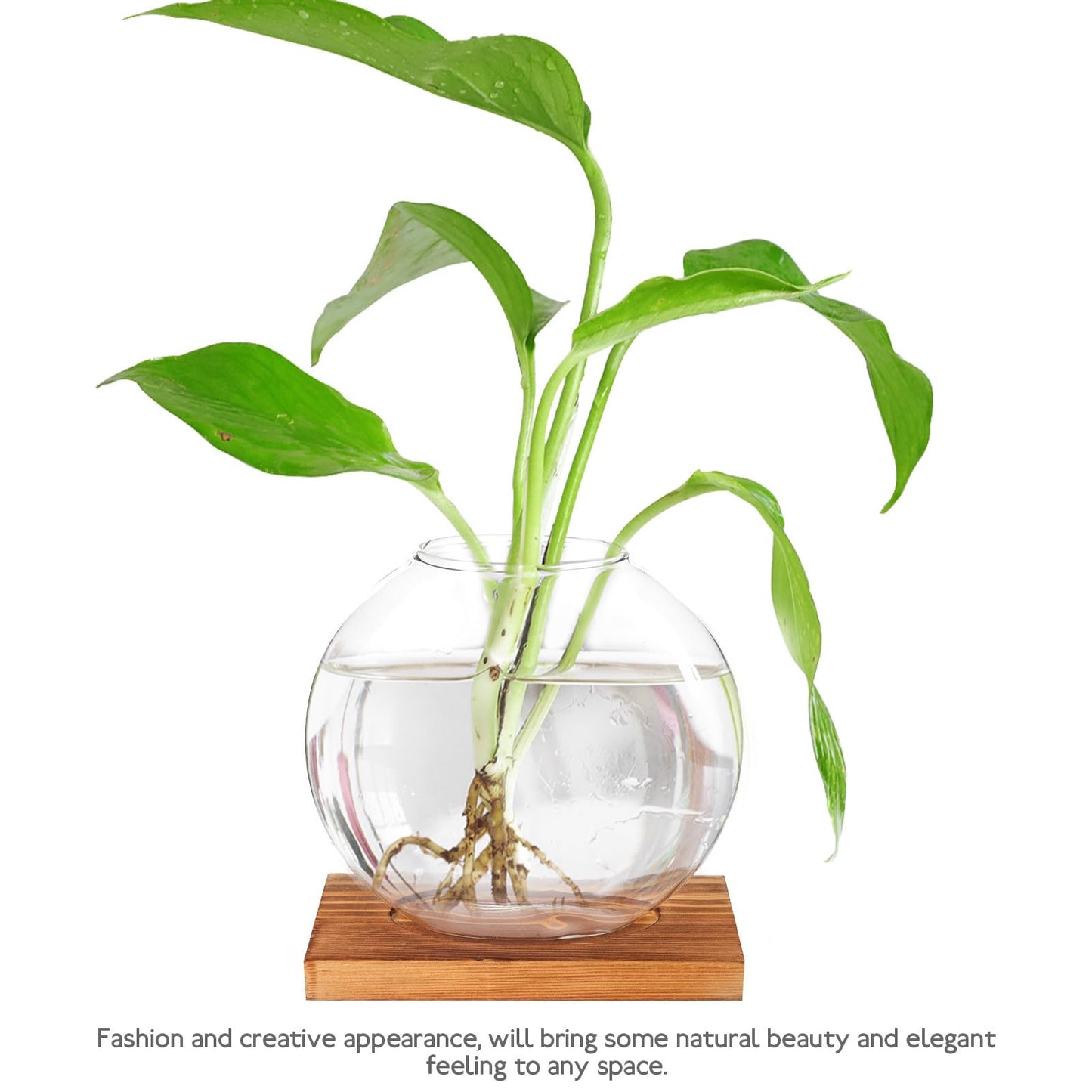 BESPORTBLE Hydroponic Glass Plant Vase with Wood Base, Glass Propagation Station for Desk Decorations, Indoor Home and Office Terrarium Planter for Greenery Display